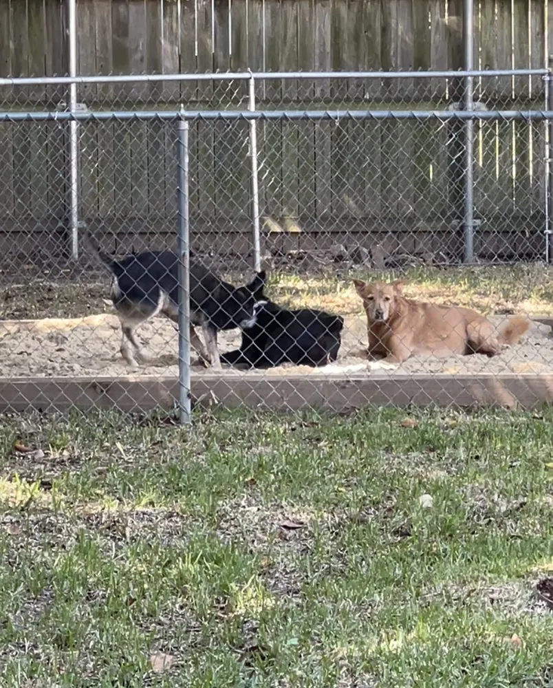 Trusted lawn care service for homes in Colleyville, TX by Unique Landscaping