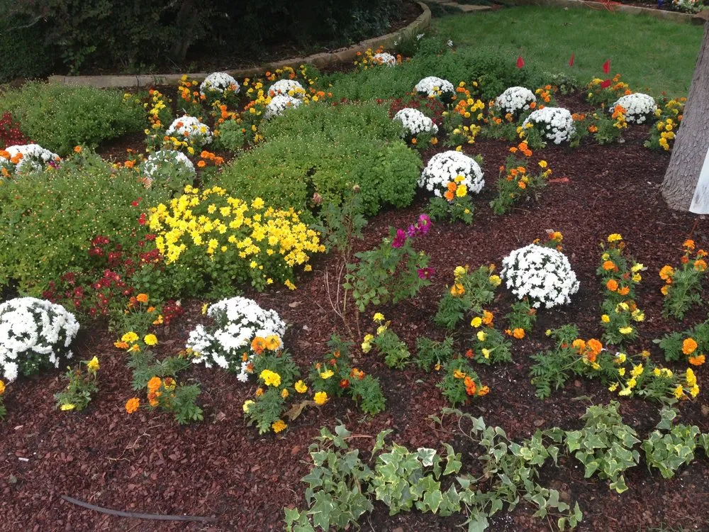 Expert landscape design for residential properties in Colleyville, TX by Unique Landscaping