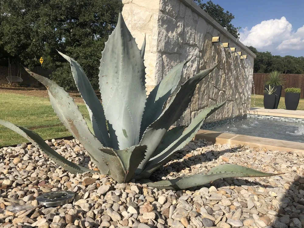 Reliable lawn care service in Colleyville, TX - Unique Landscaping