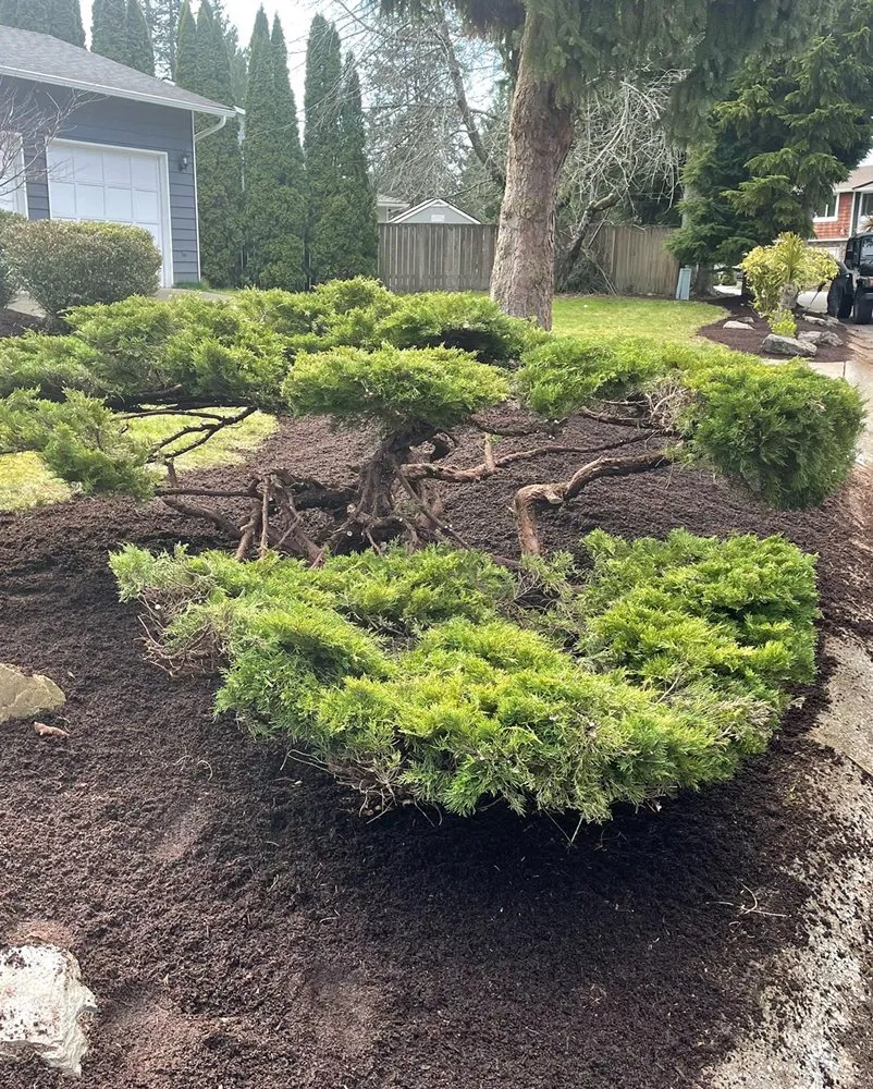 Trusted residential landscaping in Mountlake Terrace, WA by Unique Landscaping