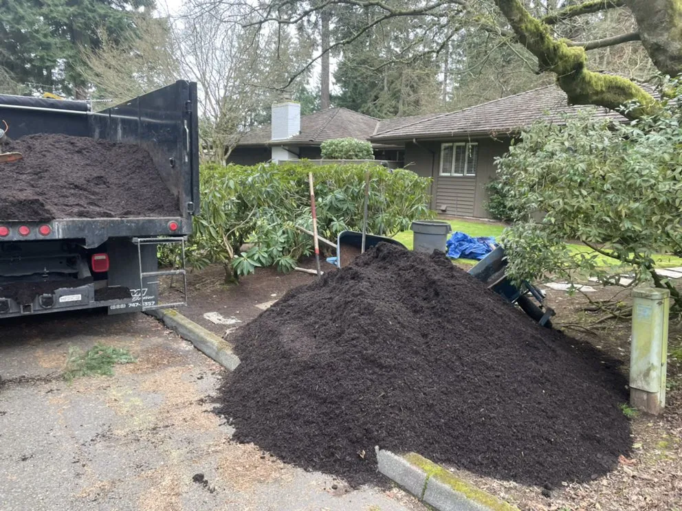 Affordable landscape installation experts serving Mountlake Terrace, WA - Unique Landscaping