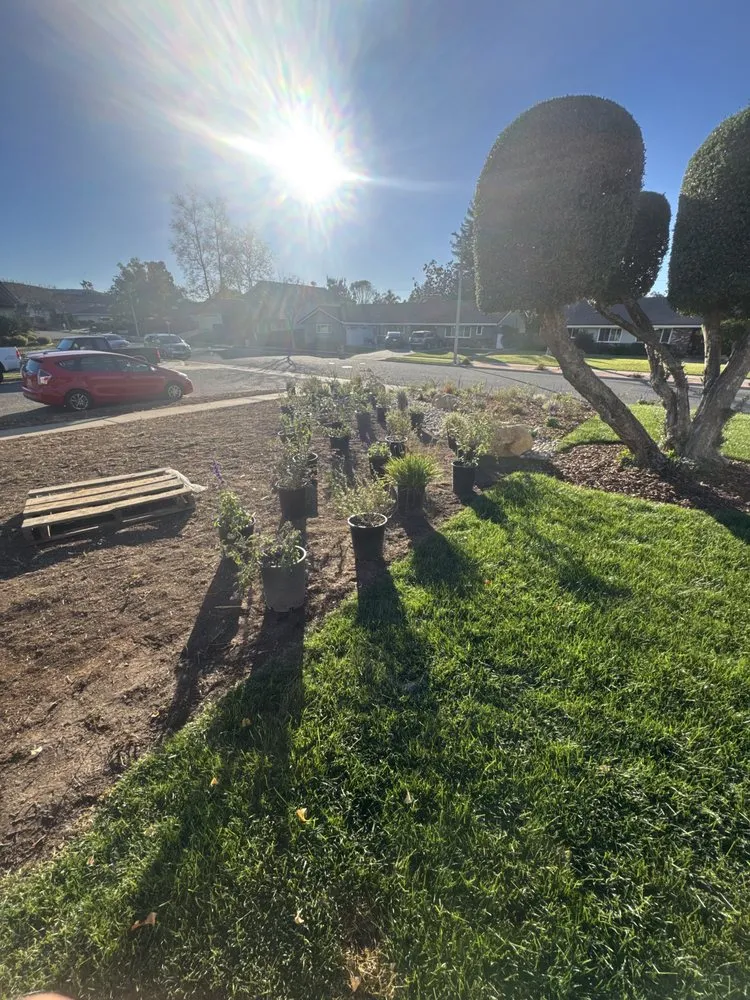 Local landscape design for homes across Oxnard, CA - Unique Landscaping