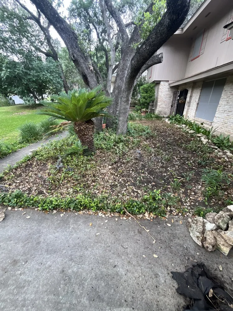 Affordable yard cleanup service with custom design in San Antonio, TX by Unique Landscaping