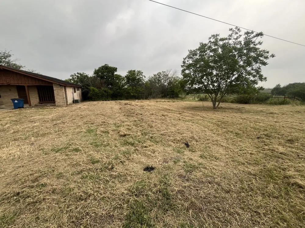 Professional yard maintenance in San Antonio, TX - Unique Landscaping