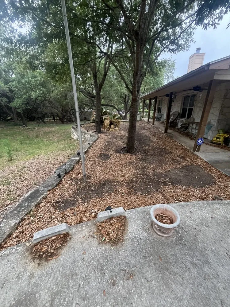 Professional lawn care service in San Antonio, TX - Unique Landscaping