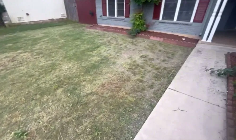 Local residential landscaping experts serving San Antonio, TX - Unique Landscaping