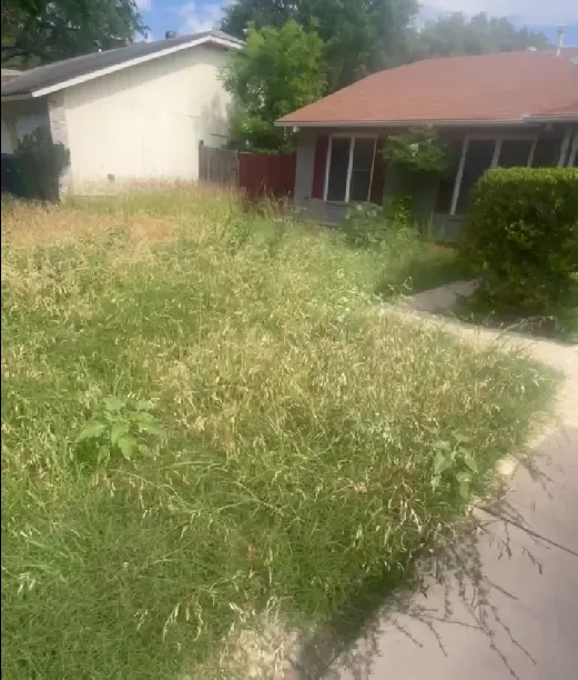 Professional yard cleanup service in San Antonio, TX - Unique Landscaping