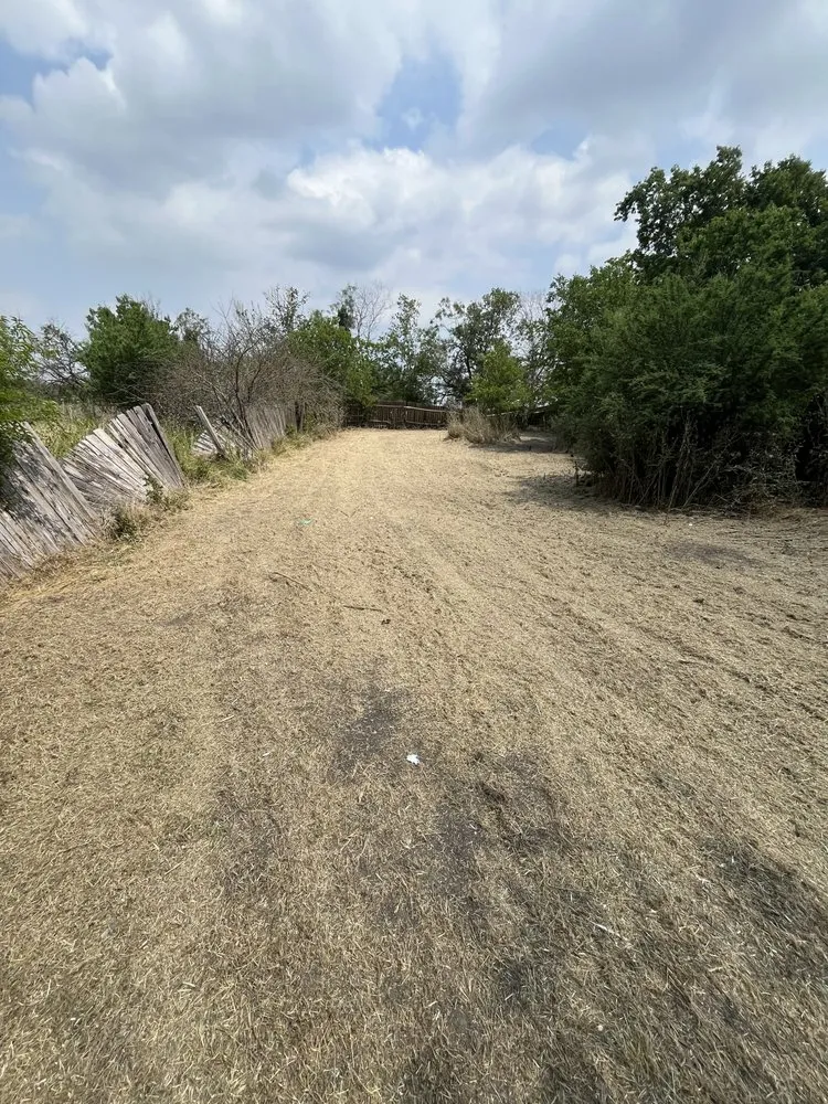 Professional lawn care service in San Antonio, TX by Unique Landscaping