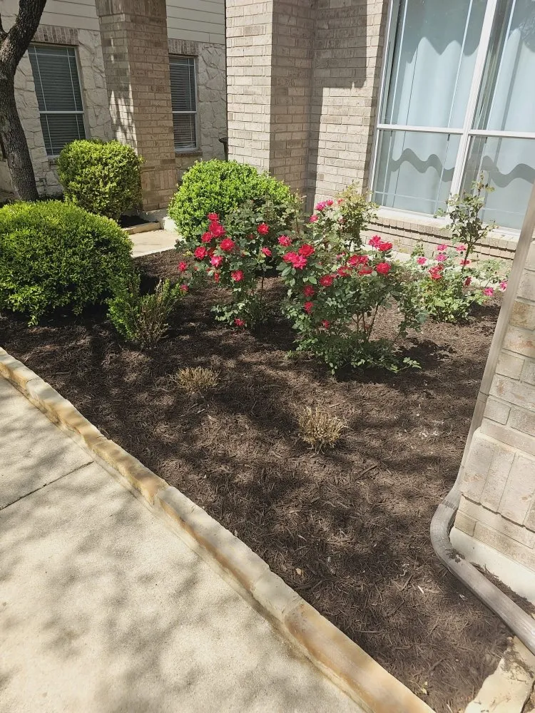 Top-rated yard maintenance for beautiful yards across Manor, TX - Unique Lawn Care & Fence