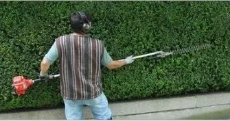 Reliable yard cleanup service in Neptune, NJ by Unique Lawn Maintenance