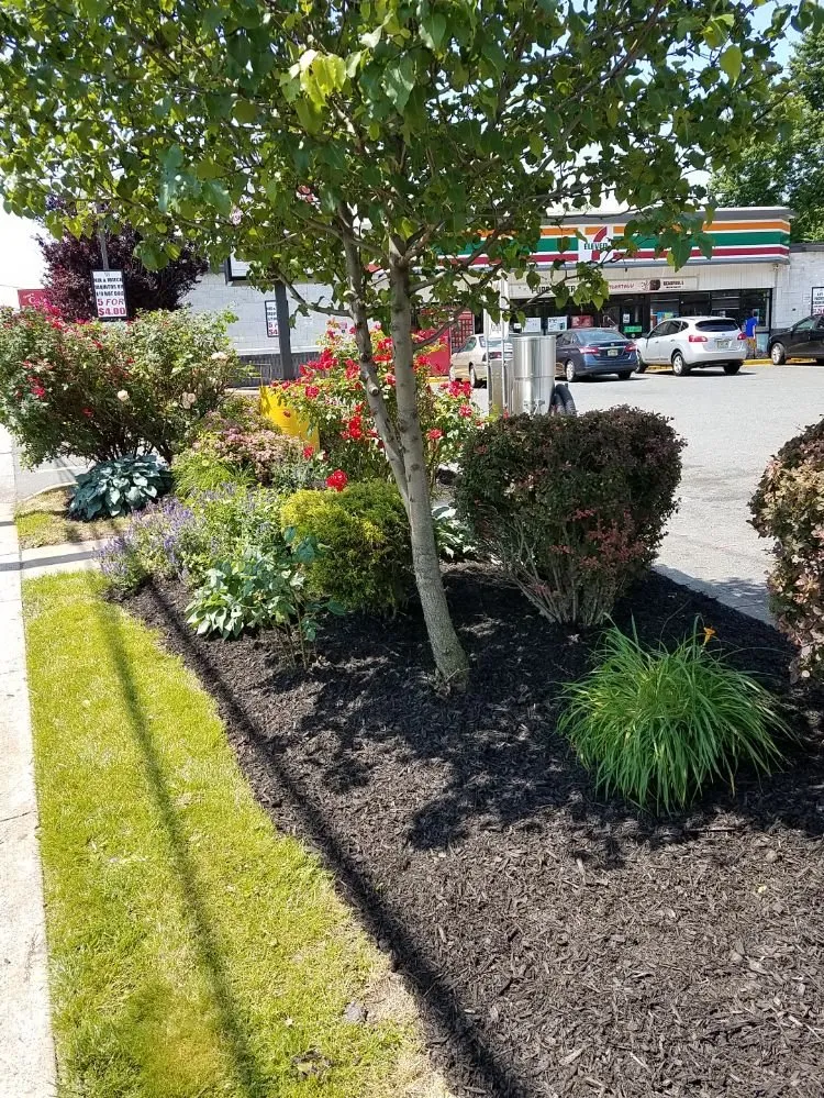 Top-rated landscape design in Lodi, NJ - Unique Lawn n Landscaping