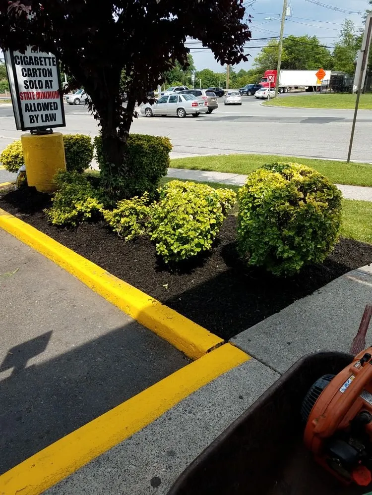 Custom residential landscaping in Lodi, NJ by Unique Lawn n Landscaping