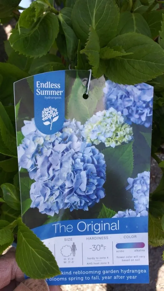 Affordable residential landscaping experts serving Lodi, NJ - Unique Lawn n Landscaping