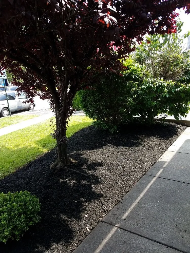 Reliable outdoor landscaping in Lodi, NJ - Unique Lawn n Landscaping