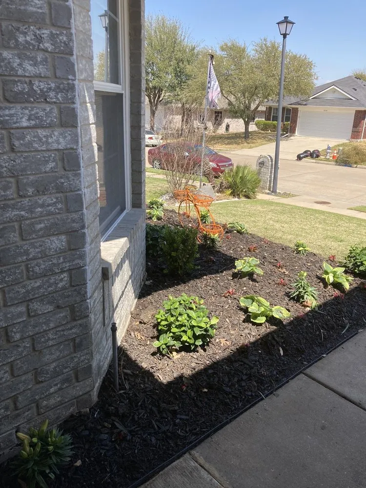 Reliable lawn mowing service in Dallas, TX - Unique Lawncare & Landscaping