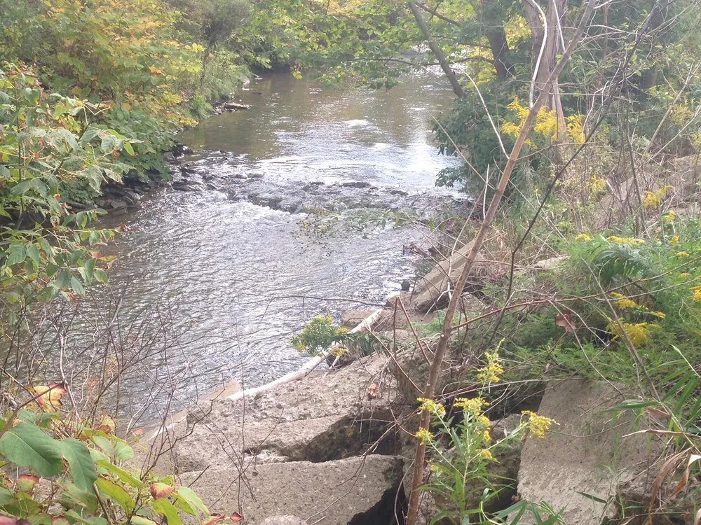 Reliable yard maintenance in Martinez, GA by Unique Lawns and Landscape