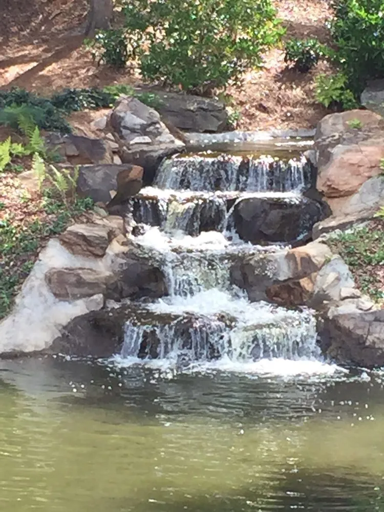 Trusted yard cleanup service experts serving Martinez, GA - Unique Lawns and Landscape