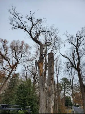 Unique Outdoor Services Logo