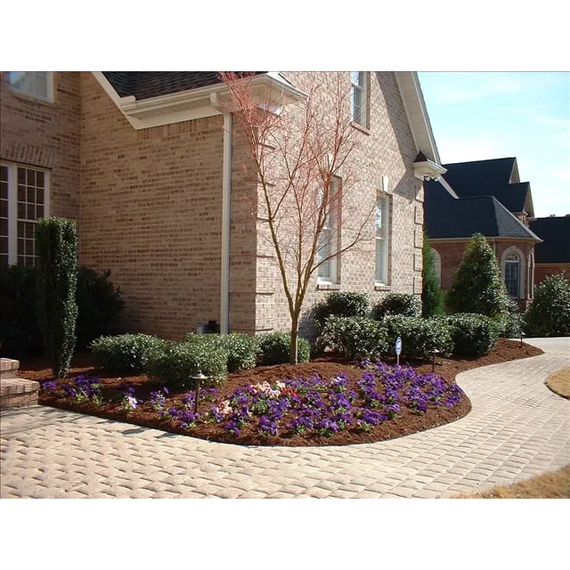 Professional outdoor landscaping for beautiful yards in Lyman, SC by Unique Point Landscapes
