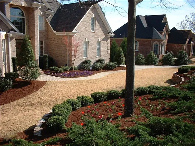 Expert yard cleanup service in Lyman, SC by Unique Point Landscapes