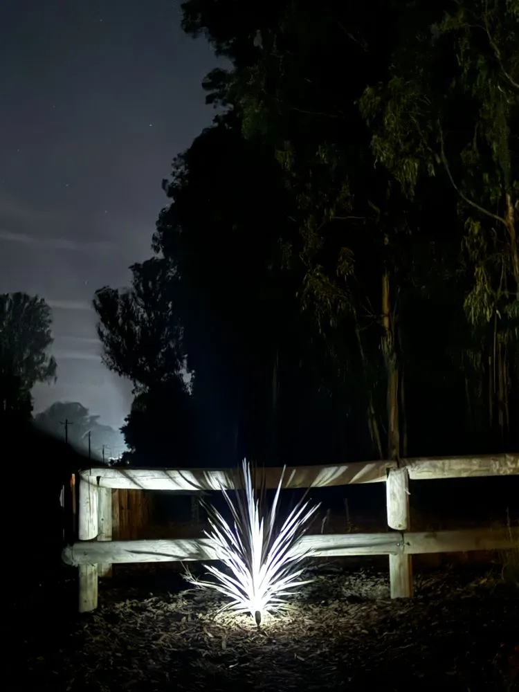 Reliable residential landscaping for residential properties in Nipomo, CA by Unique Professional Landscape