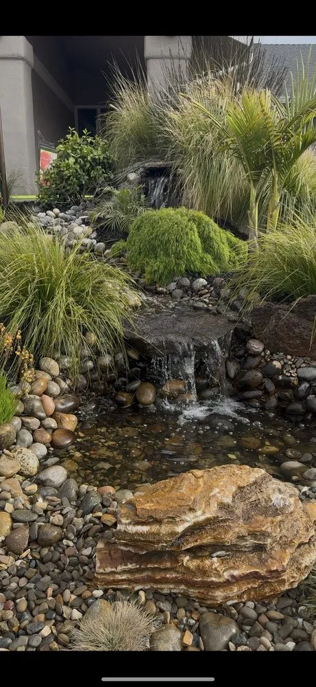 Reliable yard maintenance for beautiful yards in Nipomo, CA by Unique Professional Landscape