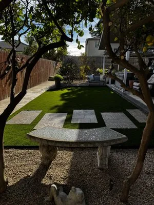 Unique Professional Landscape