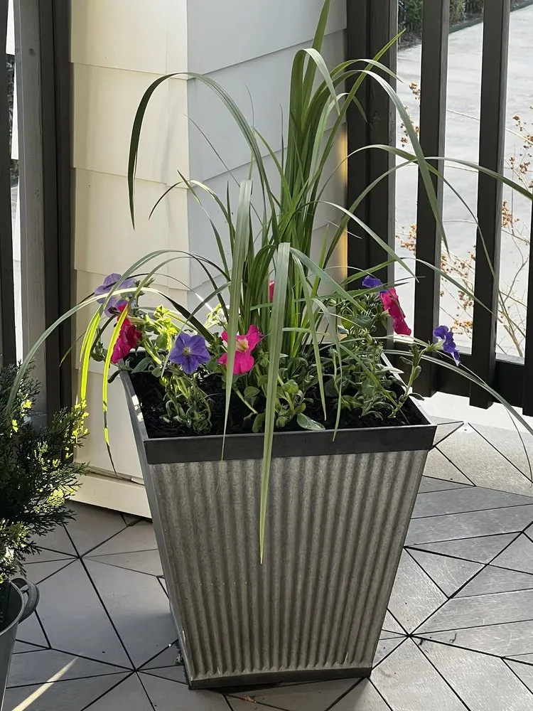 Trusted landscape design for beautiful yards across Houston, TX - Unique Quality Lawn Care & Landscaping