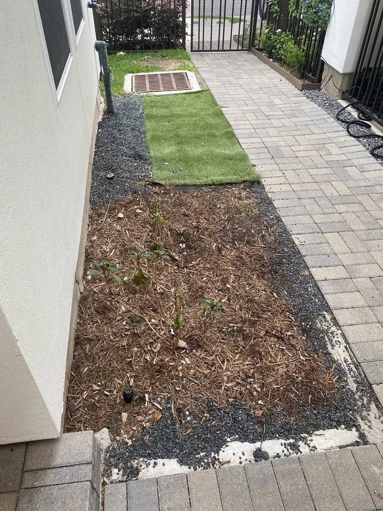 Top-rated lawn care service experts serving Houston, TX - Unique Quality Lawn Care & Landscaping