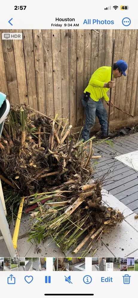 Local landscape design in Houston, TX by Unique Quality Lawn Care & Landscaping