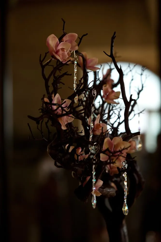 Custom landscape design for homes in Los Angeles, CA by Unique Sarah