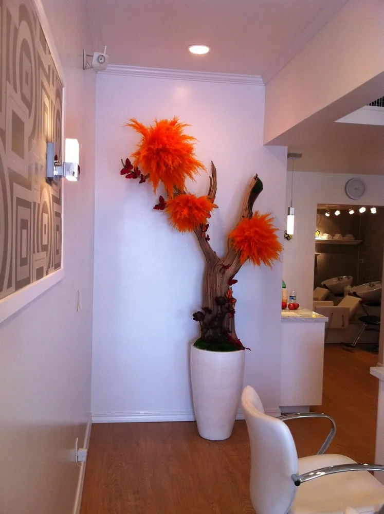 Professional yard maintenance in Los Angeles, CA - Unique Sarah