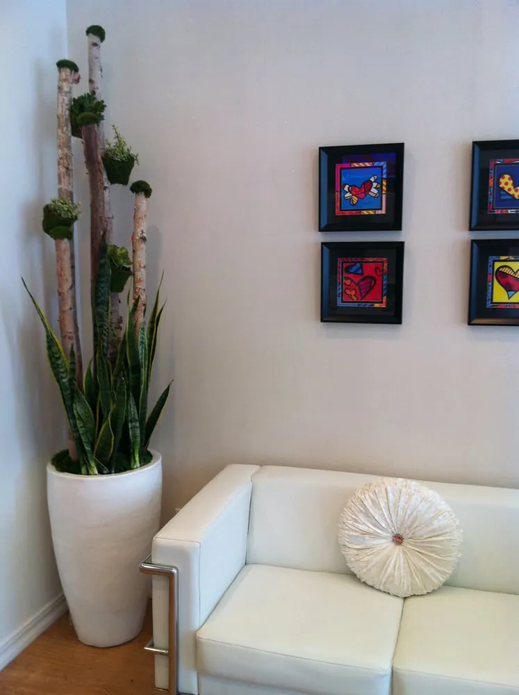 Trusted yard cleanup service in Los Angeles, CA by Unique Sarah