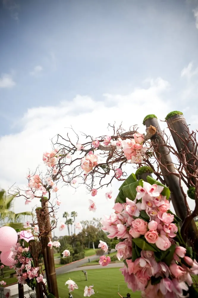 Expert landscaping services in Los Angeles, CA - Unique Sarah