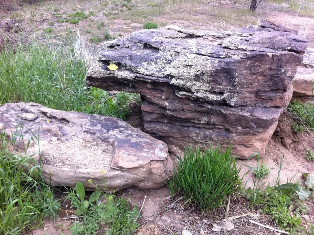 Affordable yard cleanup service for residential properties in Englewood, CO by Unique Stone