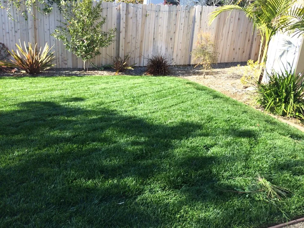 Expert lawn mowing service in Del Mar, CA by Unique Touch Landscaping