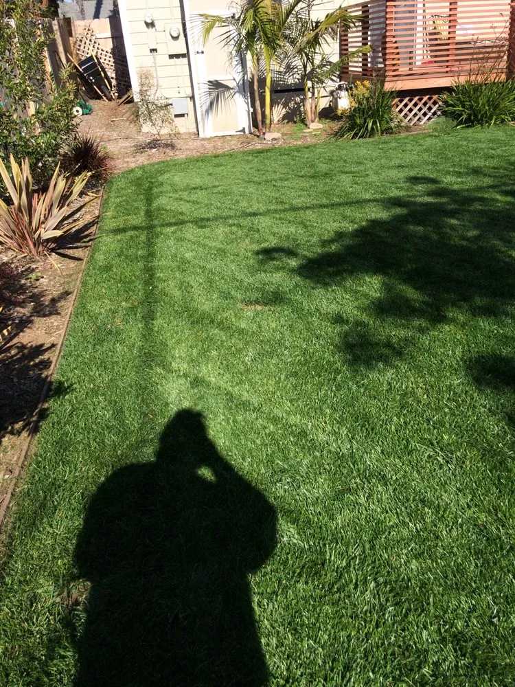 Trusted landscape design for homes across Del Mar, CA - Unique Touch Landscaping