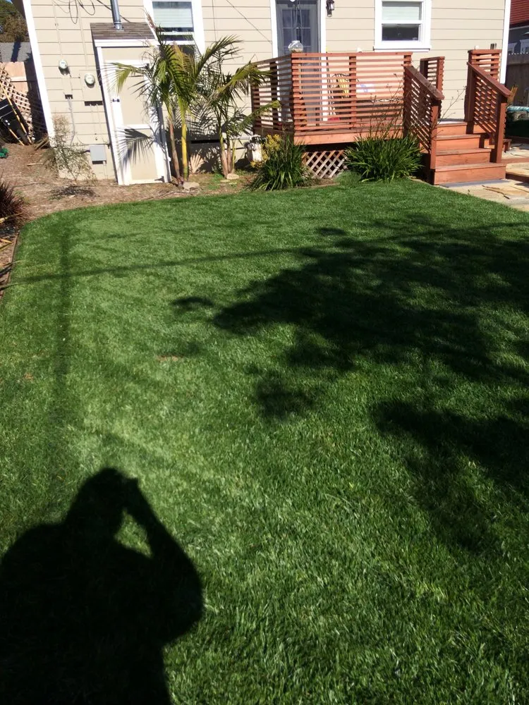 Expert yard cleanup service in Del Mar, CA - Unique Touch Landscaping