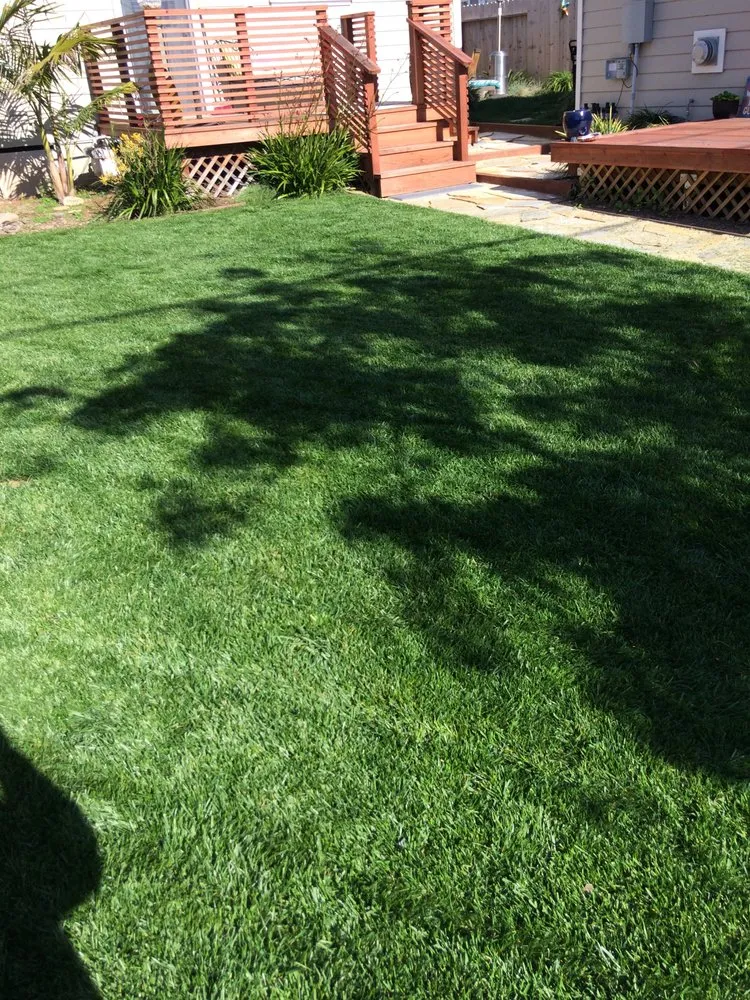 Expert outdoor landscaping in Del Mar, CA - Unique Touch Landscaping