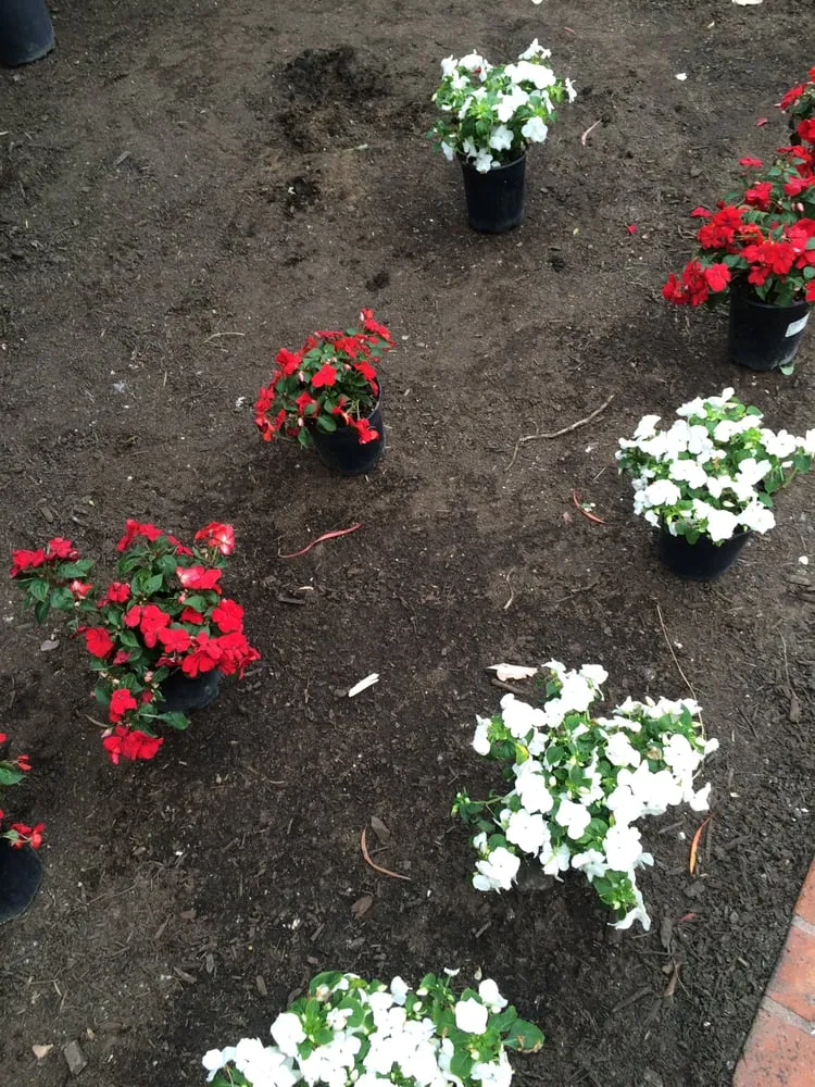 Expert lawn care service in Del Mar, CA - Unique Touch Landscaping