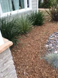 Trusted lawn care service experts serving Del Mar, CA - Unique Touch Landscaping