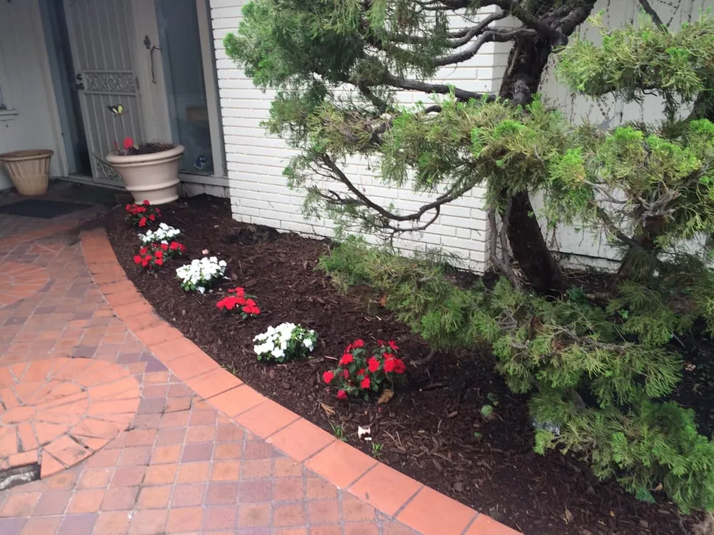 Expert landscape installation experts serving Del Mar, CA - Unique Touch Landscaping