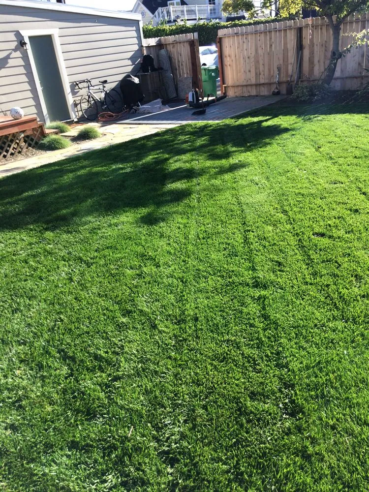 Local landscaping services in Del Mar, CA by Unique Touch Landscaping