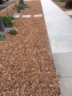 Expert landscaping services in Del Mar, CA - Unique Touch Landscaping