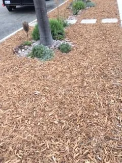 Top-rated lawn mowing service near you in Del Mar, CA by Unique Touch Landscaping