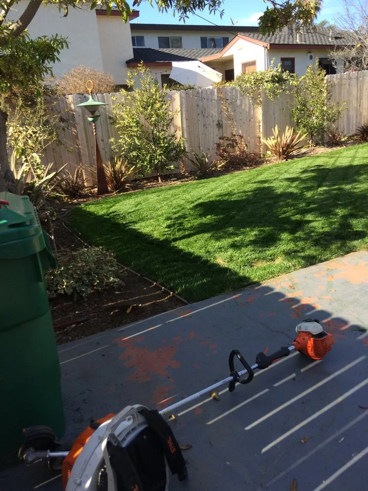 Professional landscape design for beautiful yards in Del Mar, CA by Unique Touch Landscaping