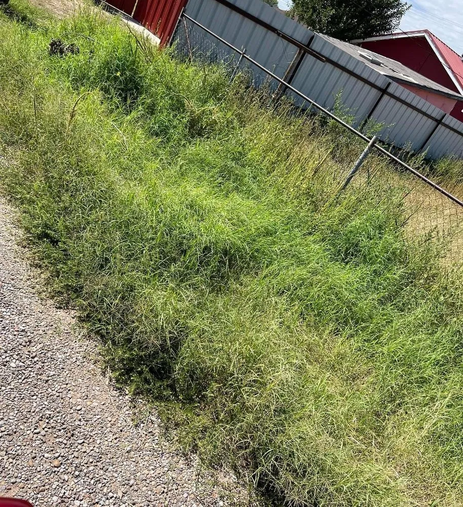 Affordable residential landscaping for beautiful yards across Royse City, TX - Unique Touch Landscaping