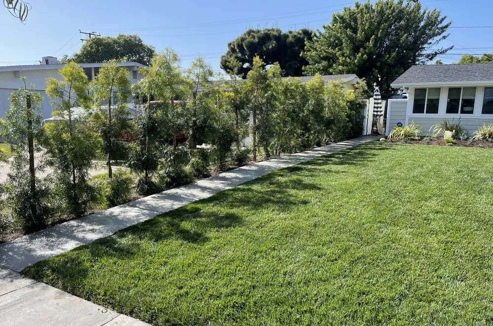 Expert yard cleanup service in Long Beach, CA - Unique Vision Landscaping