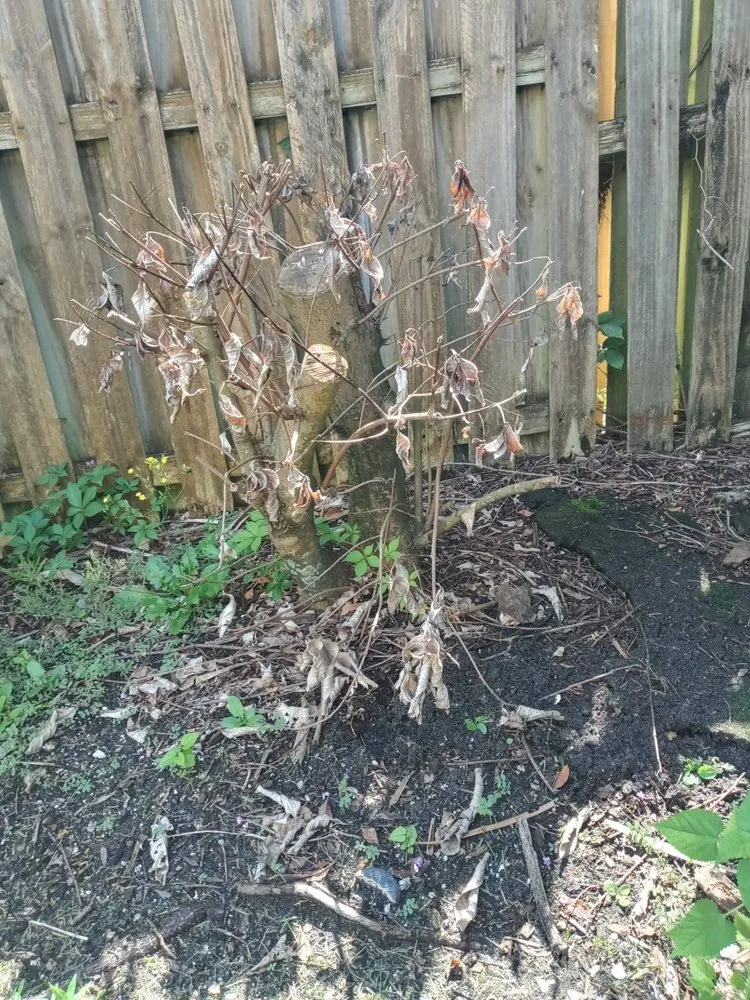 Custom garden landscaping in Ponte Vedra Beach, FL by Unique Visions Nursery and Landscape