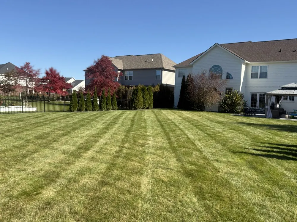 Local yard cleanup service in Indianapolis, IN - Uniquely Different Lawn Care
